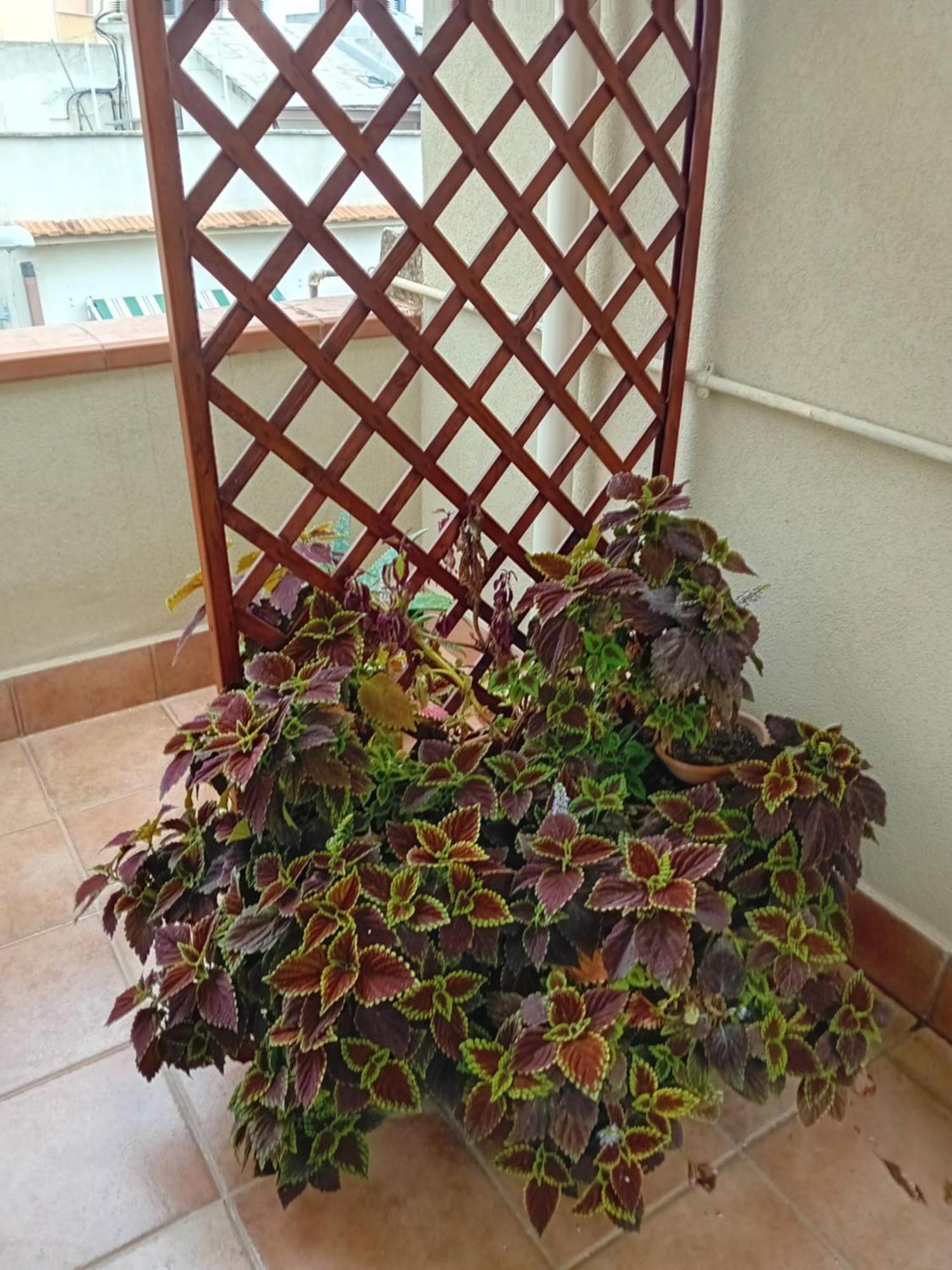 A casa tua Noto Quarto foto