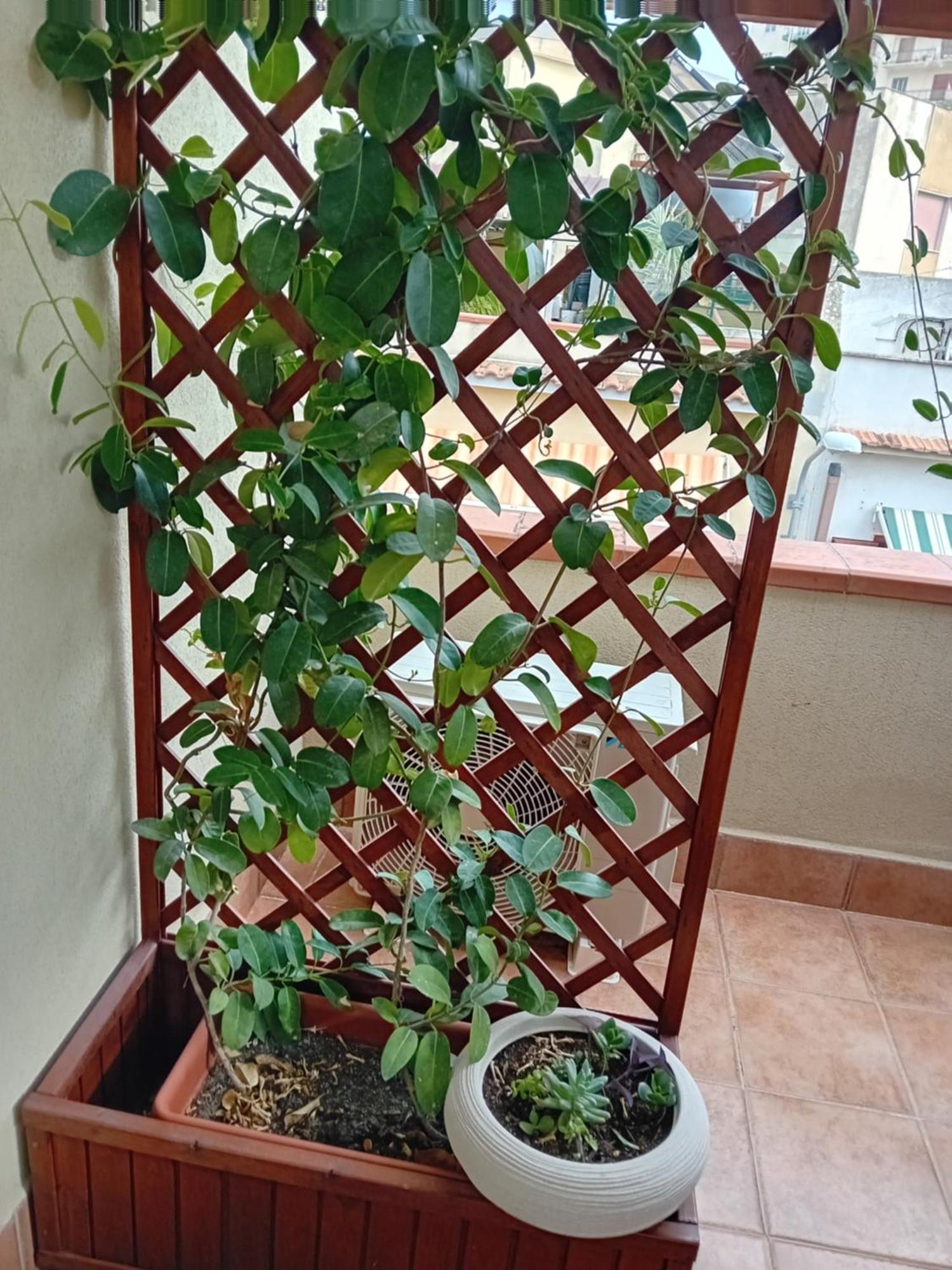 A casa tua Noto Quarto foto